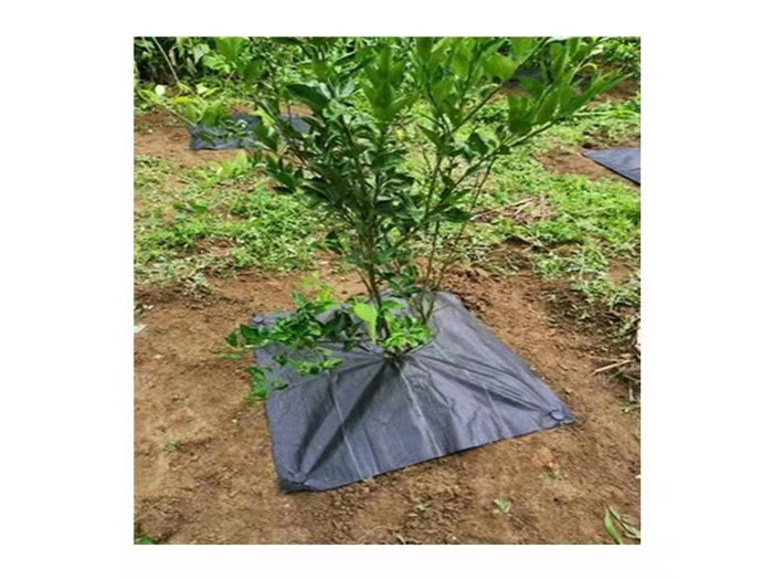 果園防草布應(yīng)該怎么選擇